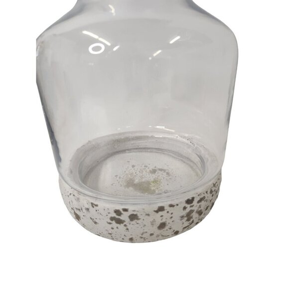 Glass Terrarium with White Concrete Base Modern Rustic Home Decor 8 Inches Tall - Picture 12 of 14